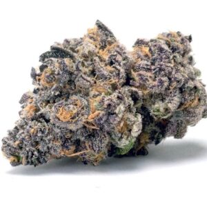 JEALOUSY BY SEED JUNKY GENETICS