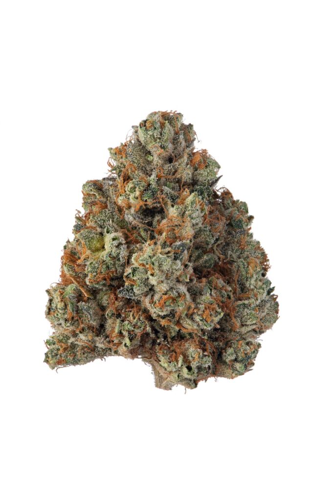 SFV OG x Sherb Bx1 by Seed Junky Genetics is a highly anticipated hybrid strain that combines the powerful, classic effects of SFV OG with the unique and flavorful profile of Sherbet. This cross brings together the best of both worlds—the citrusy, sweet notes of Sherbet with the earthy, piney, and kushy characteristics of SFV OG—resulting in a potent, well-rounded strain that delivers a memorable experience.