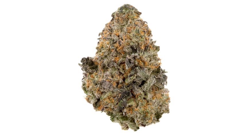 Gelato-33jpeg - My Green Library Weed Delivery